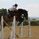 Coach mental équitation - Coach mental pour cavalier new