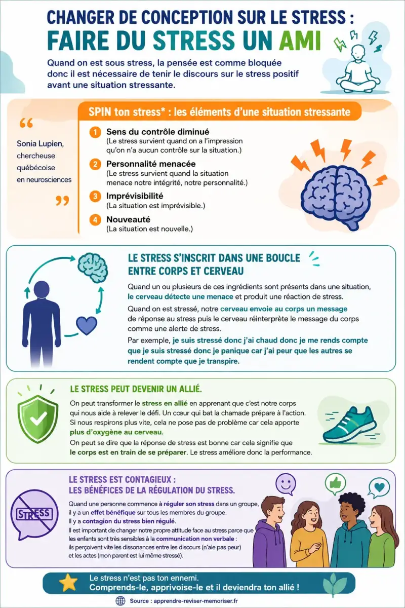 Infographie DPCTS pour adolescents expliquant comment transformer le stress en allié, comprendre le modèle SPIN de Sonia Lupien, la boucle cerveau-corps et les stratégies pour mieux gérer le stress avant un examen ou une prise de parole.