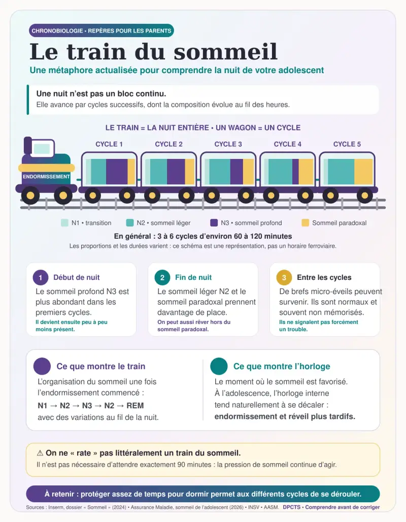 infographie presentnt la metaphore du train du sommeil sur les cycles de l'adolescent