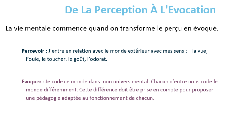 la gestion mentale de la perception à l'évocation