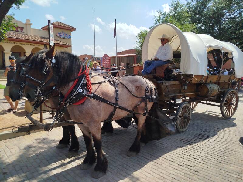 Horse-drawn wagon on a street in Fort Worth Stockyards, Texas