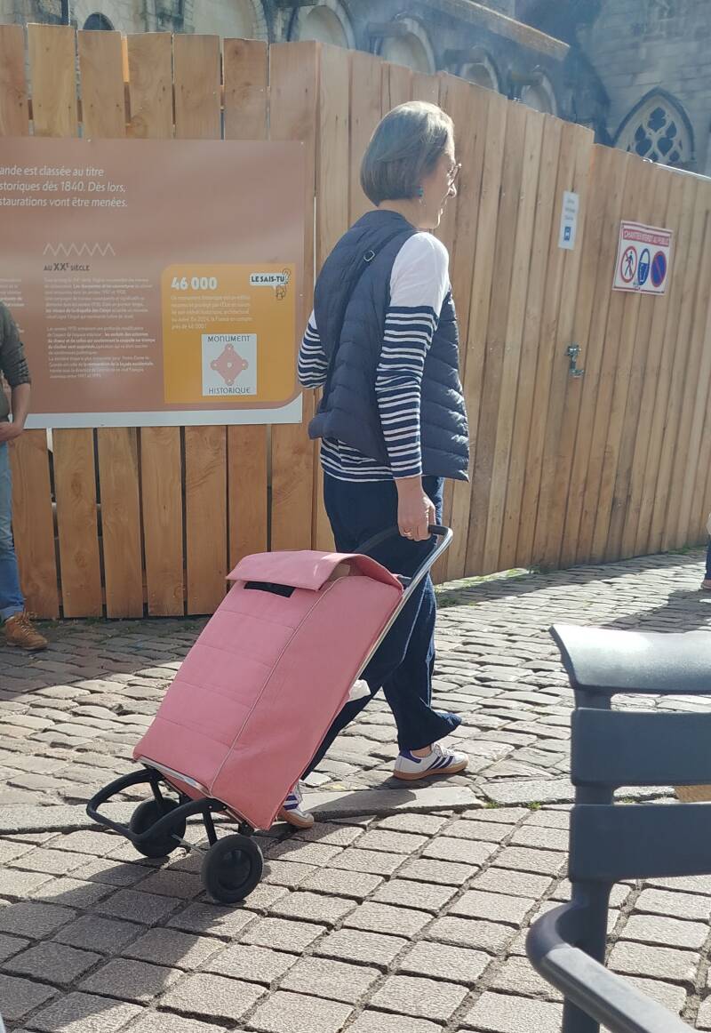 rose shopping trolley