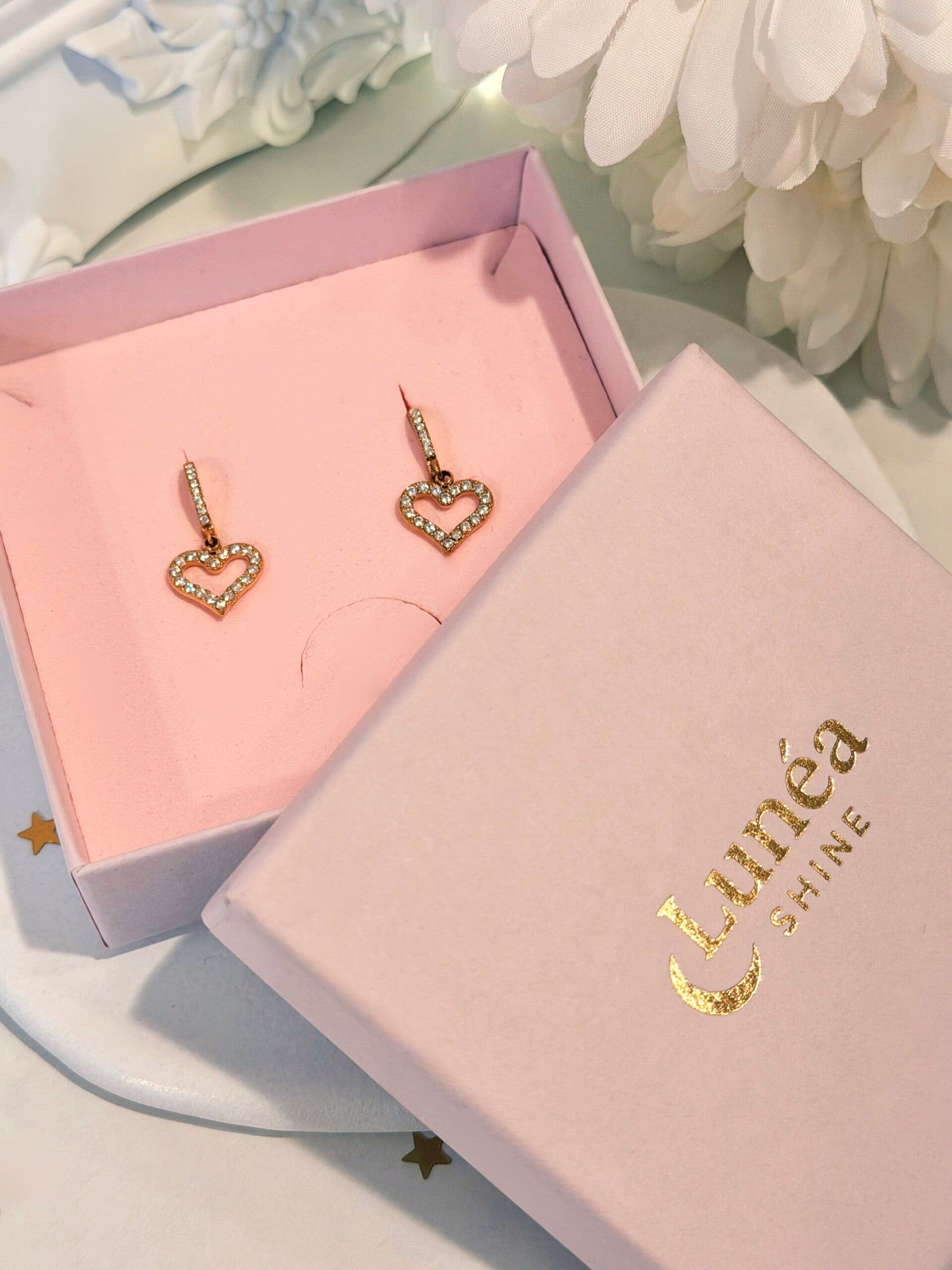 Exquisite Herz-Ohrringe