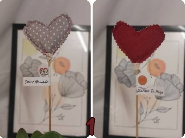 Cœur Nomade Solidaire