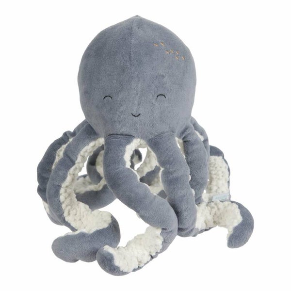 Little Dutch octopus