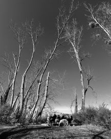 yzeures-sur-creuse-dolmen-endormi-en-hiver-standard-xtt898.jpg