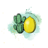 Lemon and Cactus