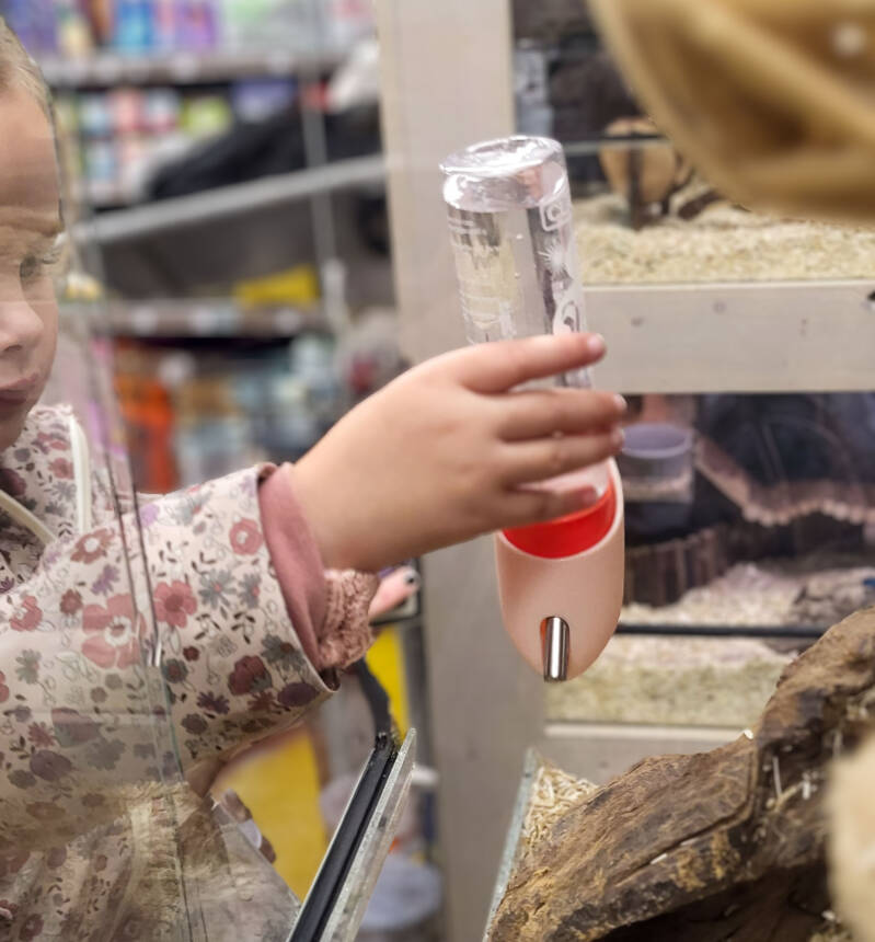 Bottle holder placed by child in glass terrarium for degoes– Dyrgard