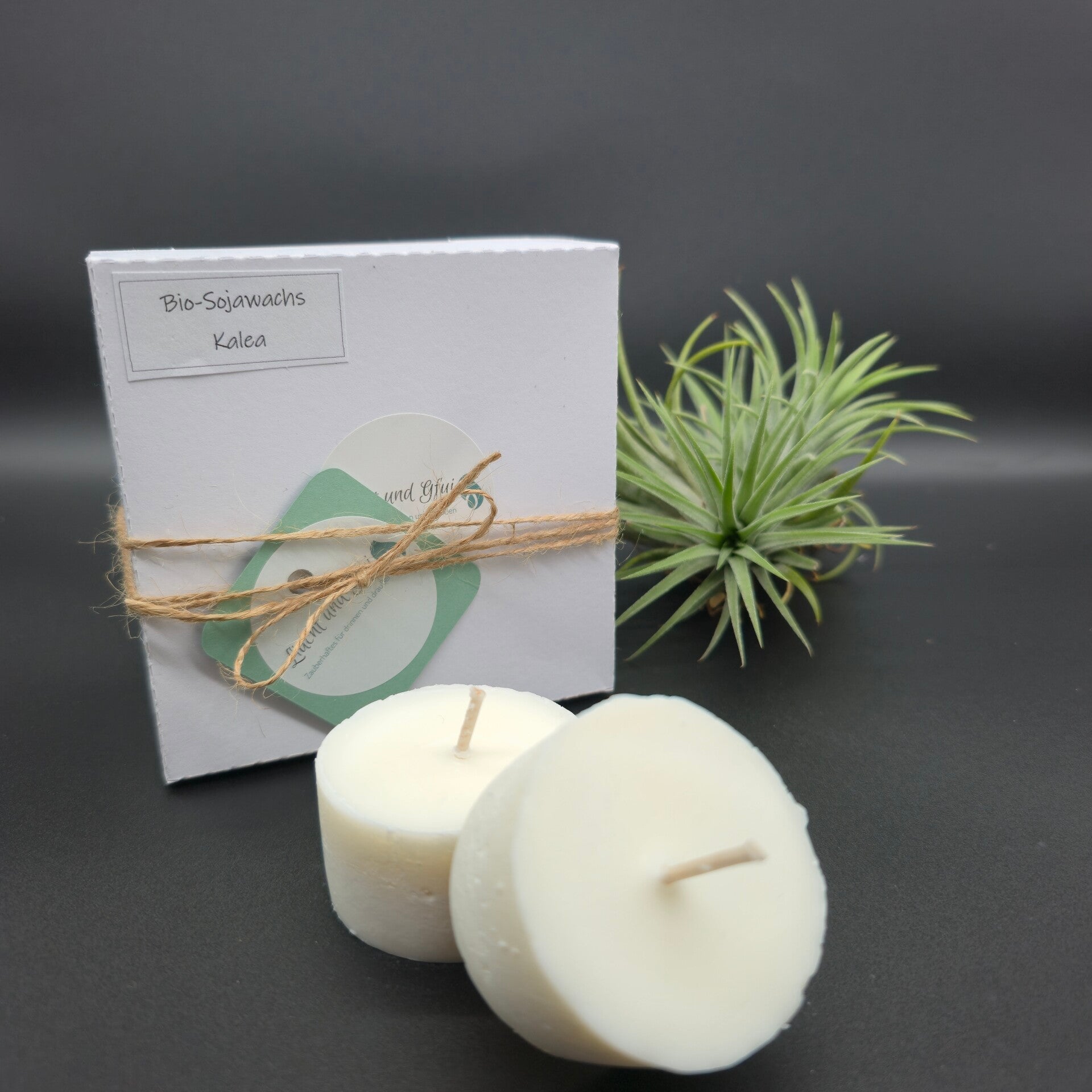 Nachfüllkerzen für Kerzenschale "Kalea"