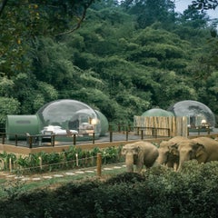 AnataraElephantCamp-DawanTours-010-1.jpg