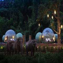 AnataraElephantCamp-DawanTours-024.png