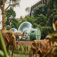 AnataraElephantCamp-DawanTours-001-3.jpg