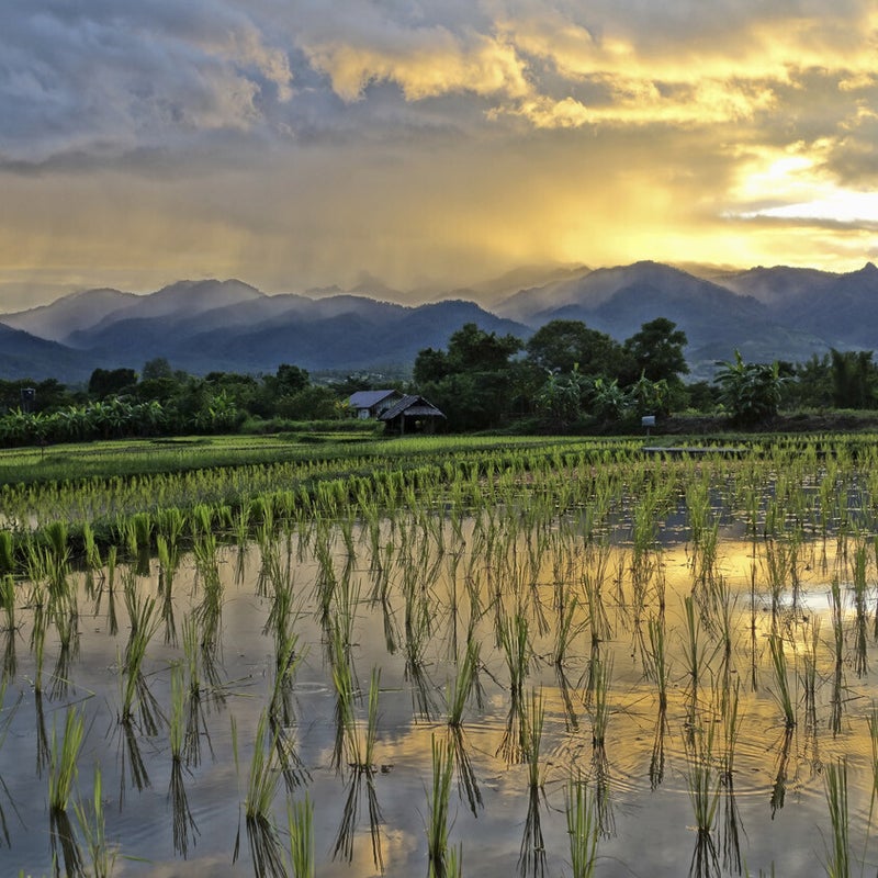 Pai-DawanTours-001.jpg