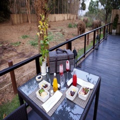 AnataraElephantCamp-DawanTours-018-2.jpg