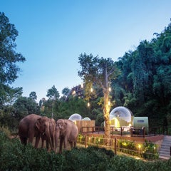 AnataraElephantCamp-DawanTours-012-1.jpg