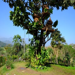 Pai-014.jpg