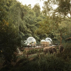 AnataraElephantCamp-DawanTours-009-1.jpg