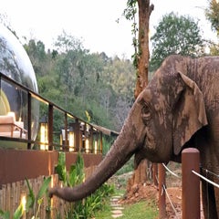 AnataraElephantCamp-DawanTours-015-1.jpg