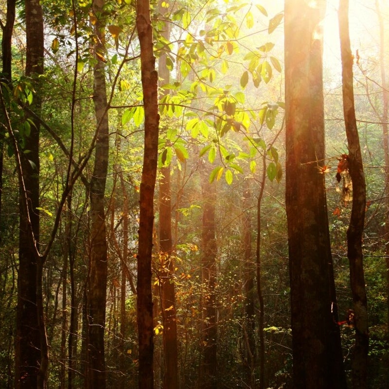 Pai-DawanTours-011.jpg