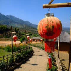 Pai-010.jpg