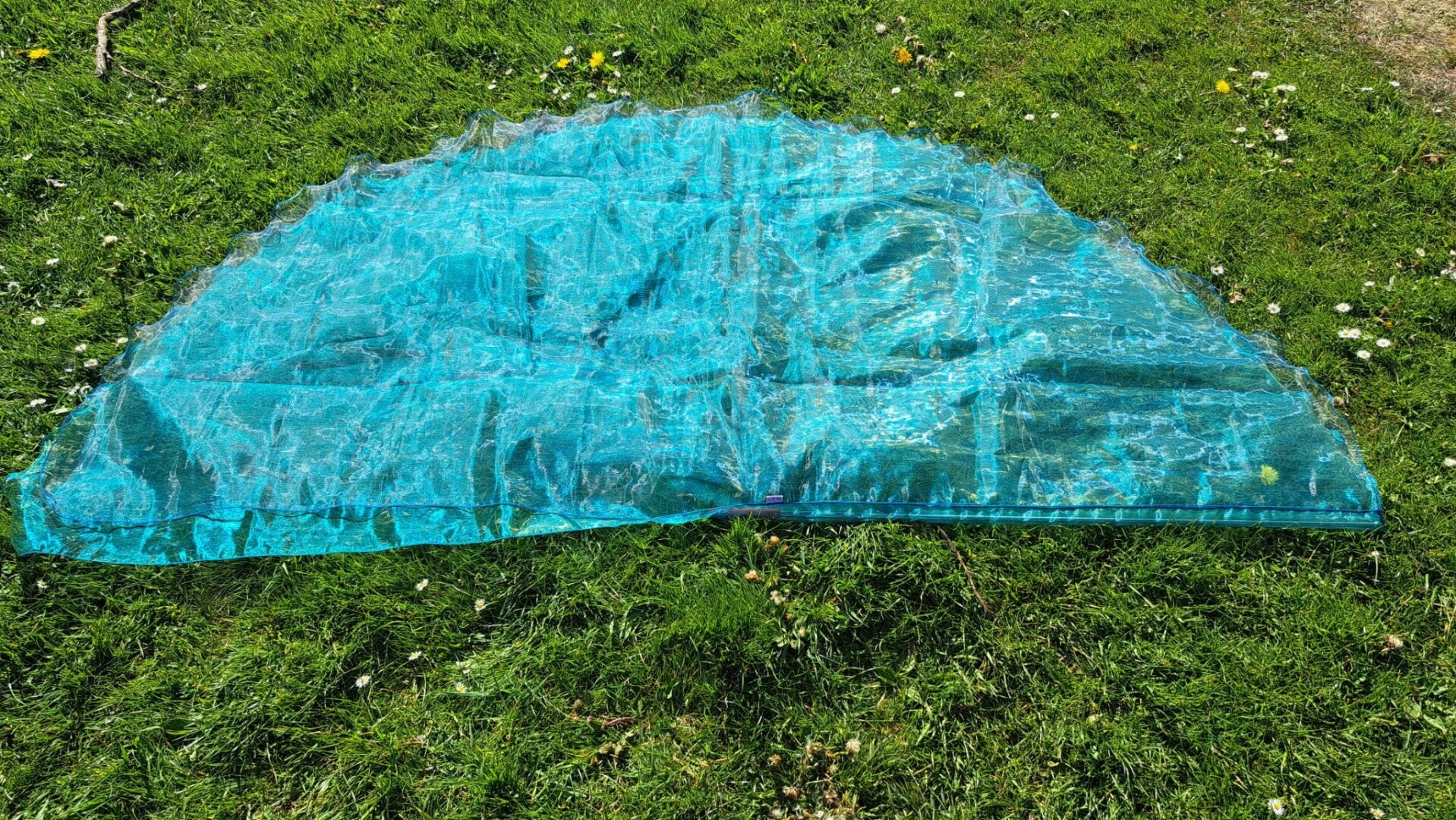 Angelwing Groen Blauw