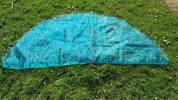Angelwing Groen Blauw