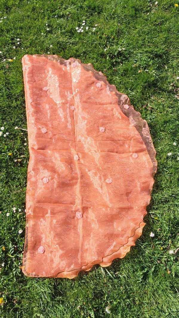 Angelwing Oranje