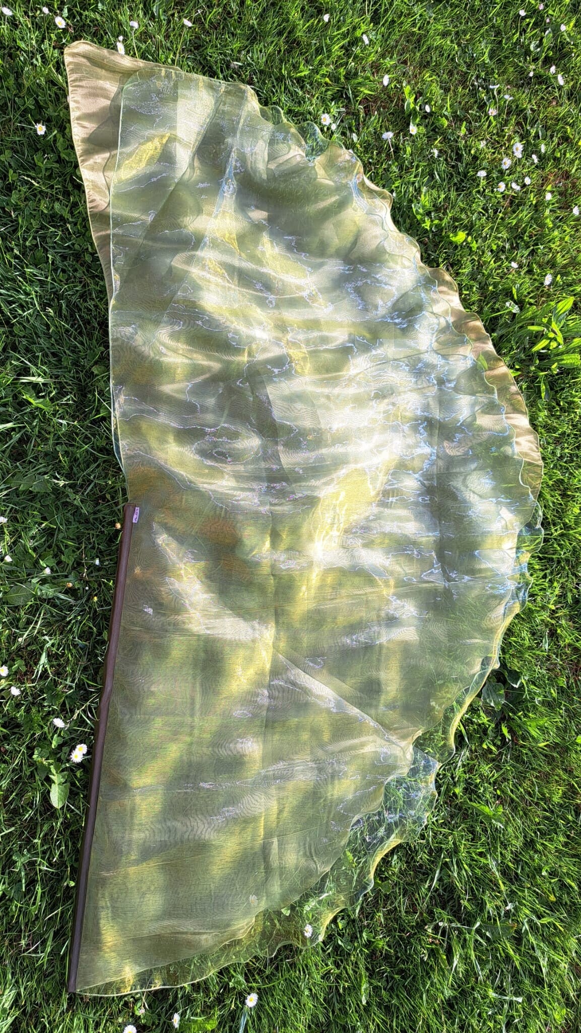 Angelwing Groen