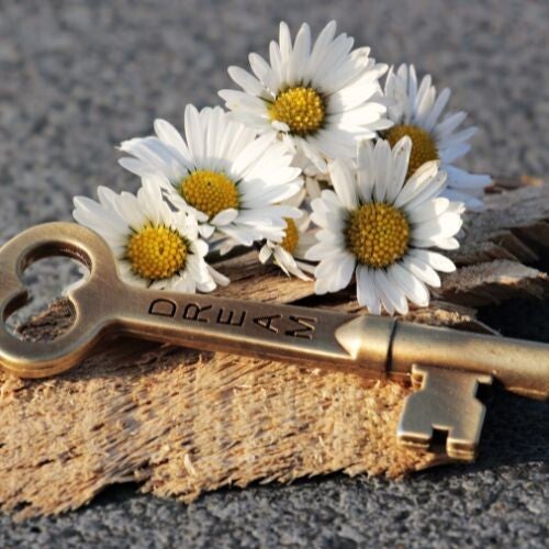 clé posée sur une pierre et entourée de pâquerettes pour symboliser les blocages