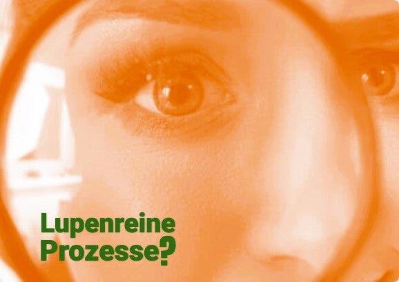 Diagnosetoll KI in der KMU Foodbranche