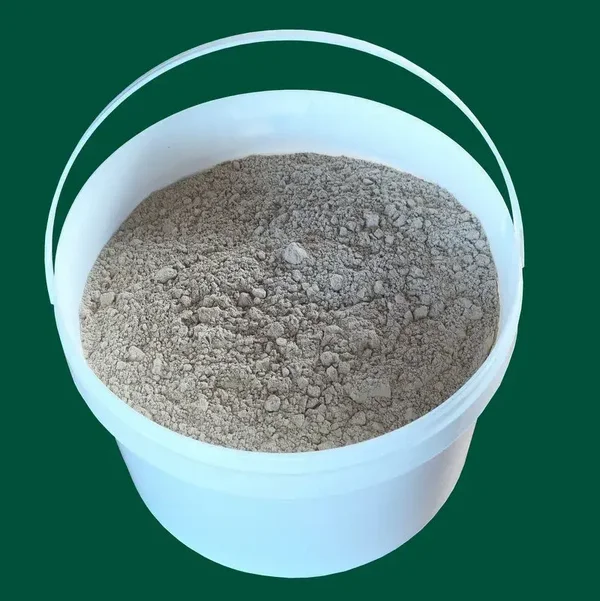 Kieselgur Diatomerde 800g