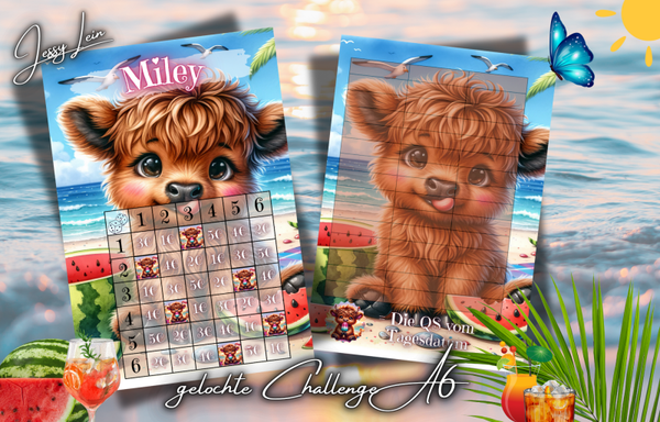 Gelochte Challenge ''Miley'' A6