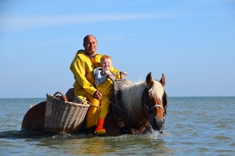 2015paard19707xavier-nielsjpg-1.jpg