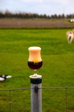2014paardenvissers17535peerdevisscher-1.jpg