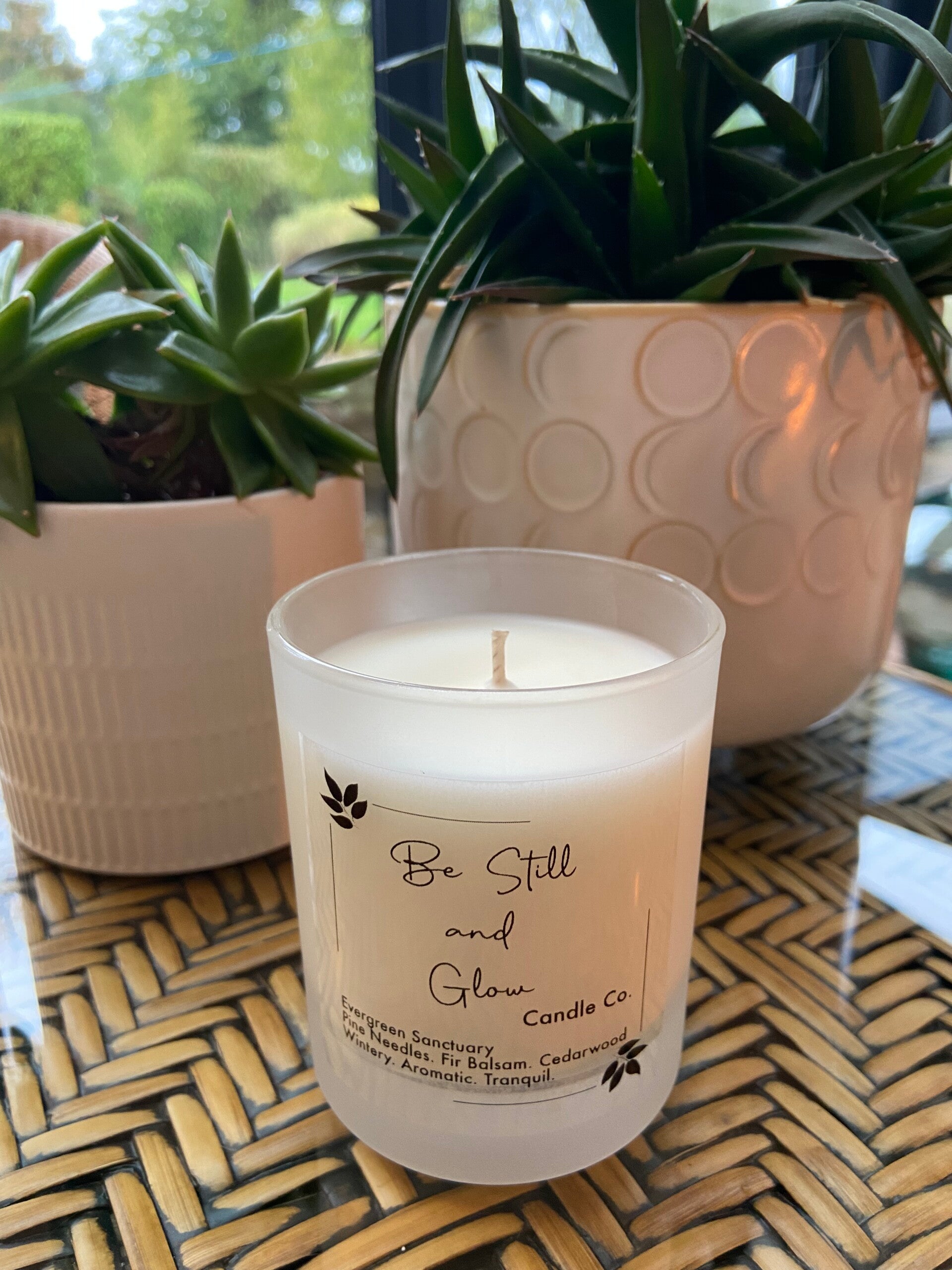 ‘Evergreen Sanctuary’