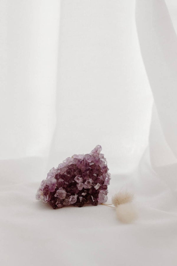 Amethyst cluster