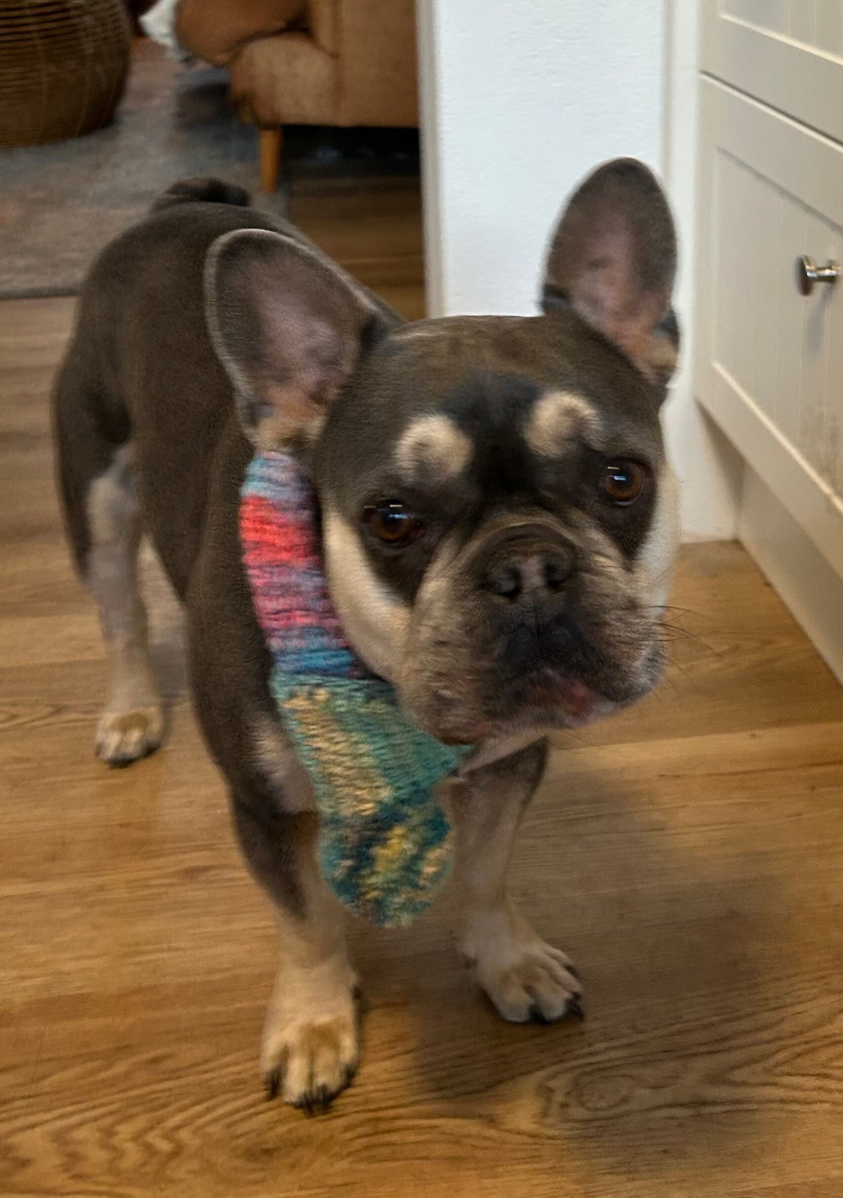 Winter Woollen Scarves