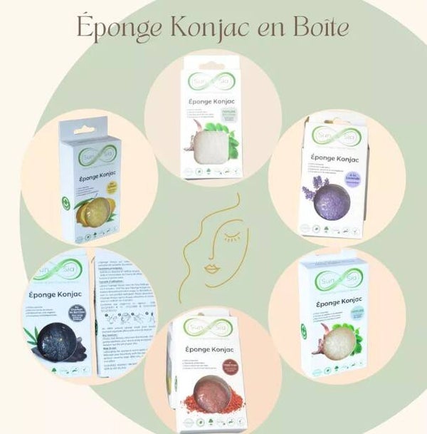 Eponge Konjac