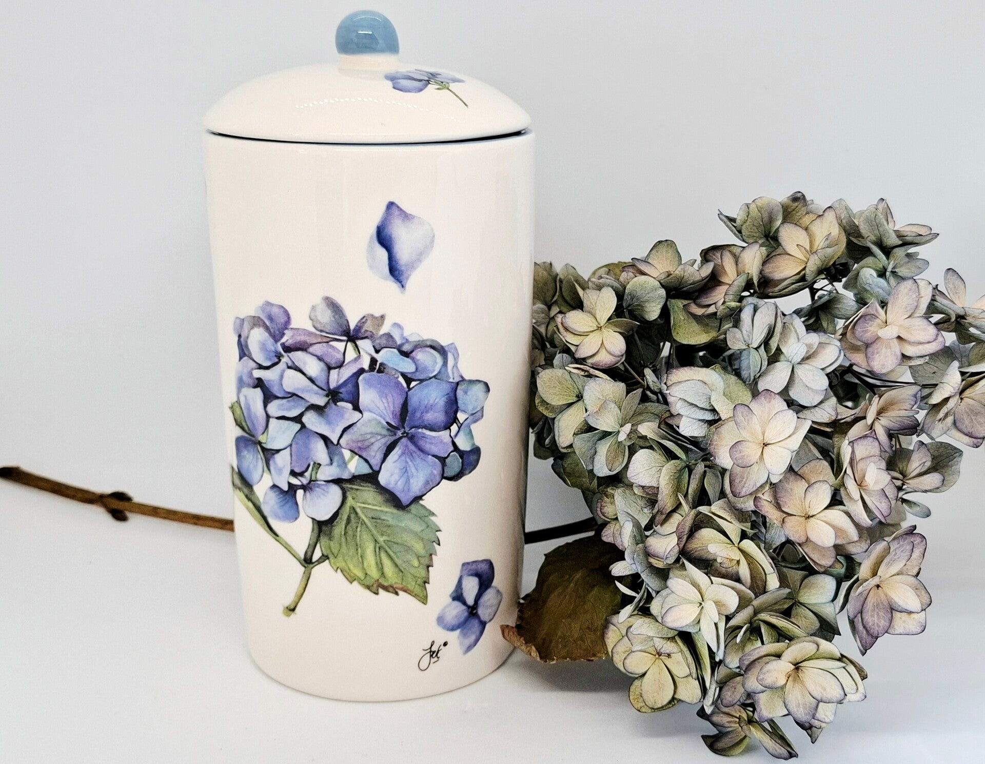 Voorraadbus Hortensia van Jet By Ter Steege