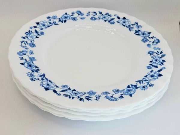 Zes Arcopal dinerborden met blauwe bloemenrand