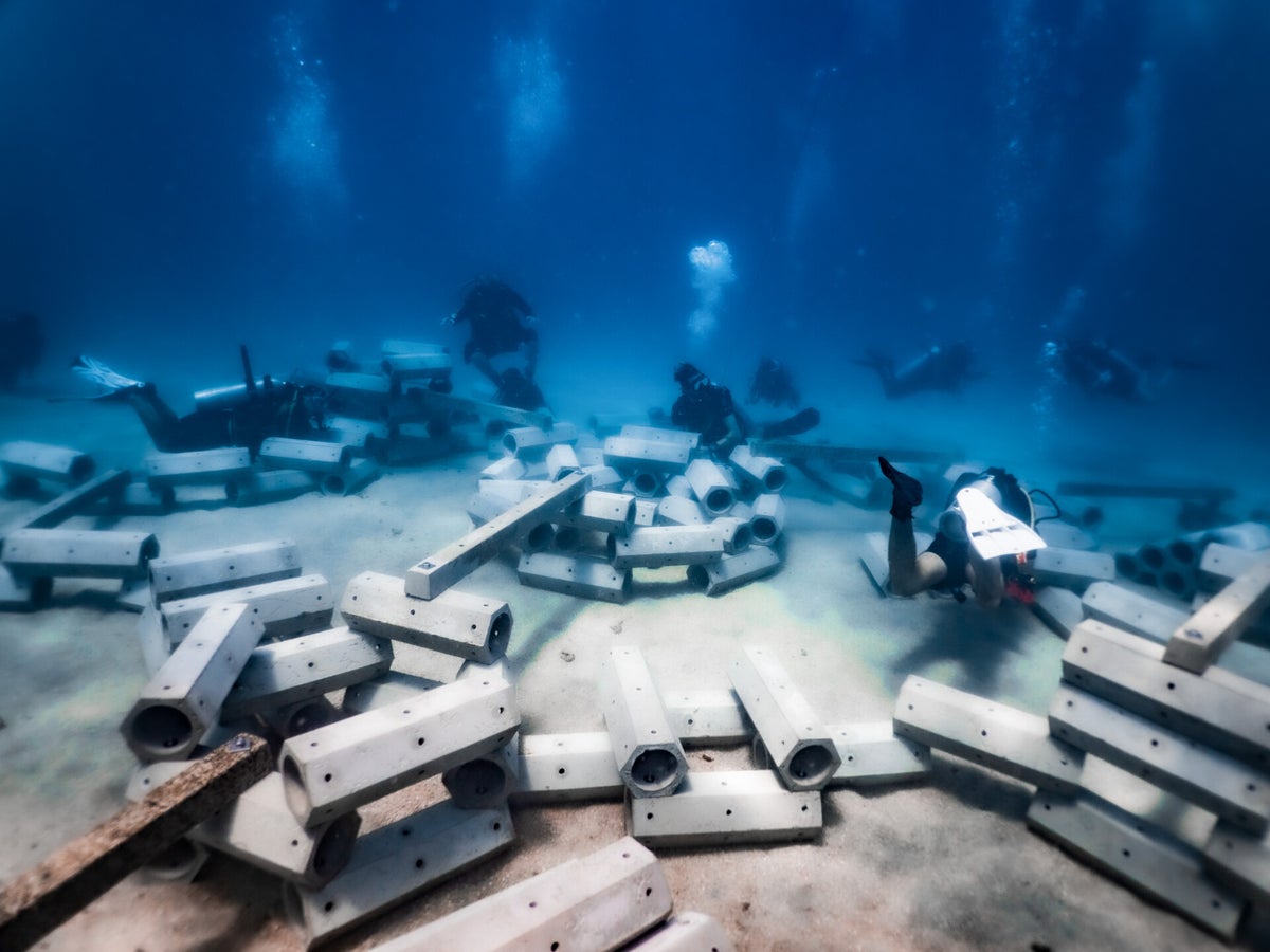 Projects | ReefSystems