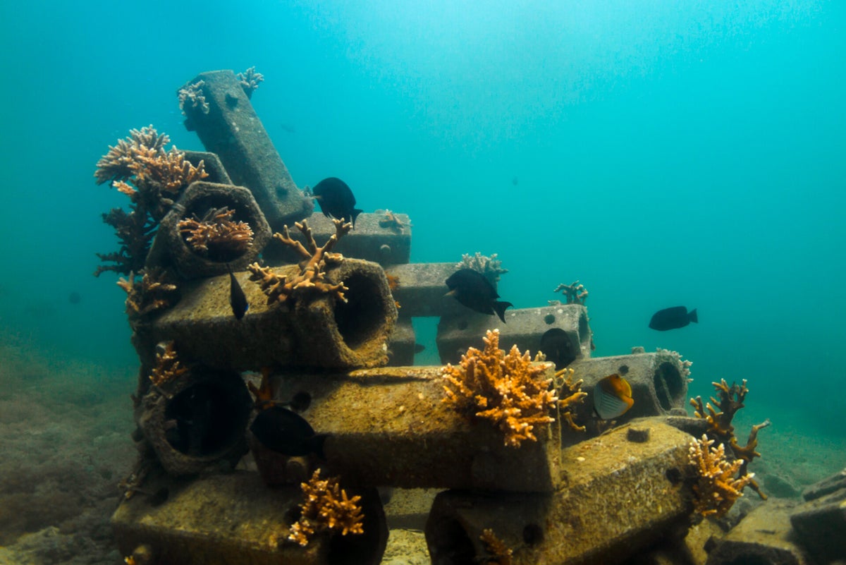 Photos | ReefSystems