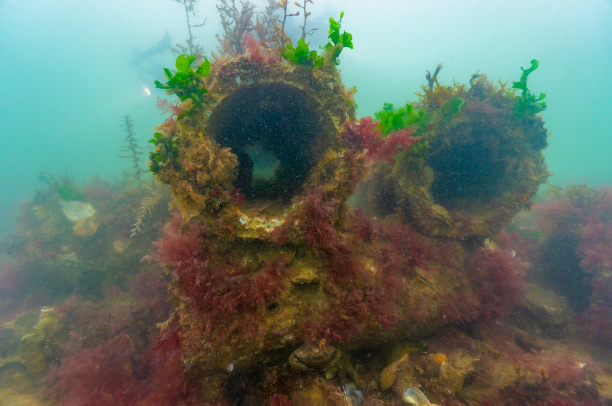 Projects | ReefSystems