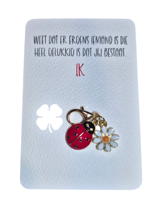 Kaartje "Ladybird"