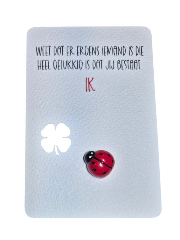 Kaartje "Ladybug"