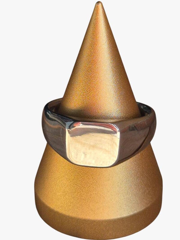 Zilveren heren ring "Vex"