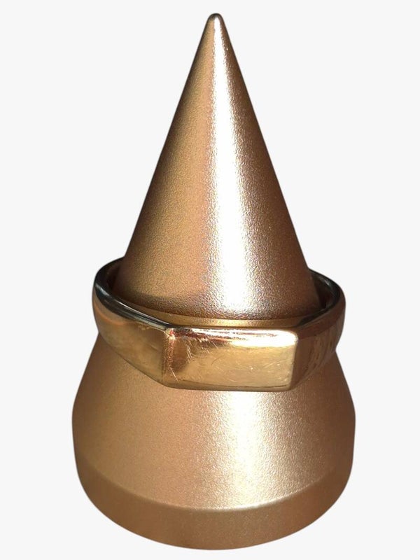 Gouden heren zegelring "Aurum"