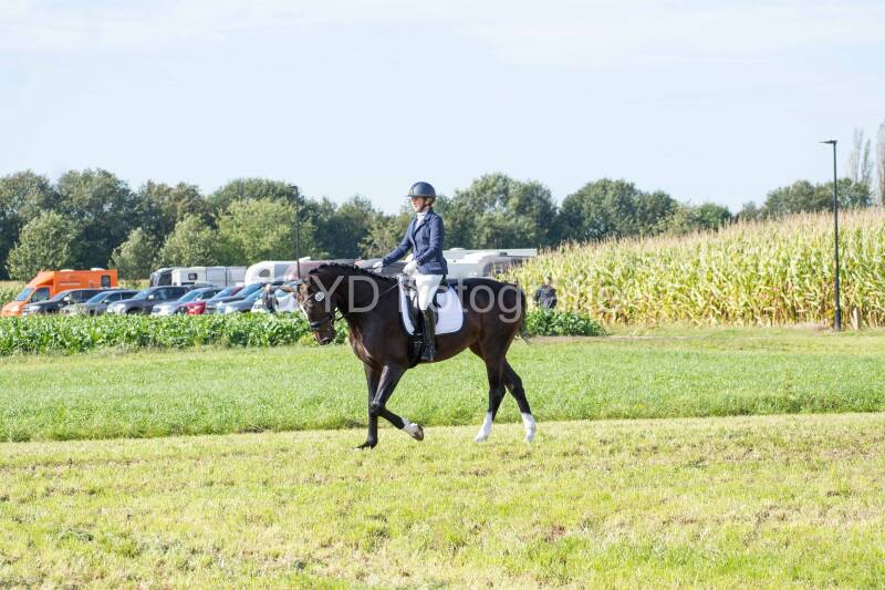 20241006-20241006-dsc_5397-standard-g63vea.jpg