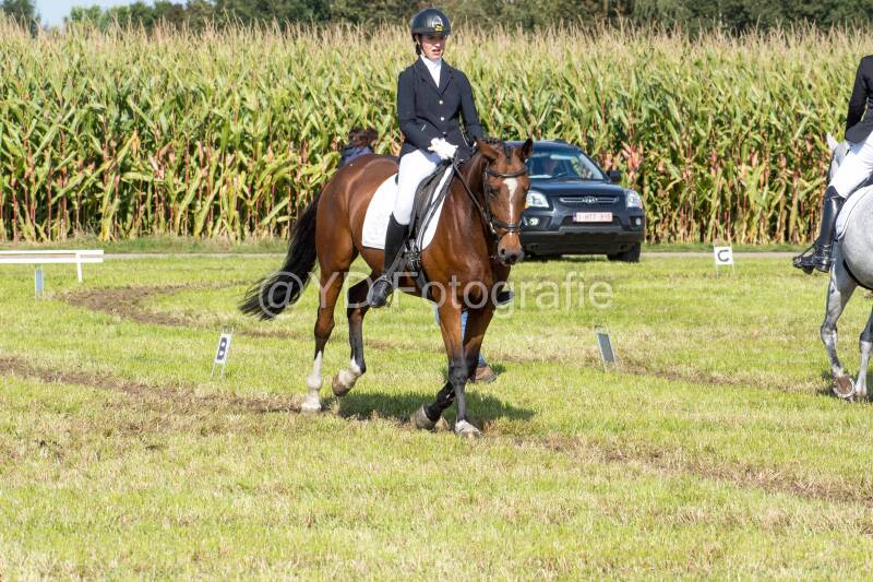 20241006-20241006-dsc_5399-standard-f2nt0c.jpg