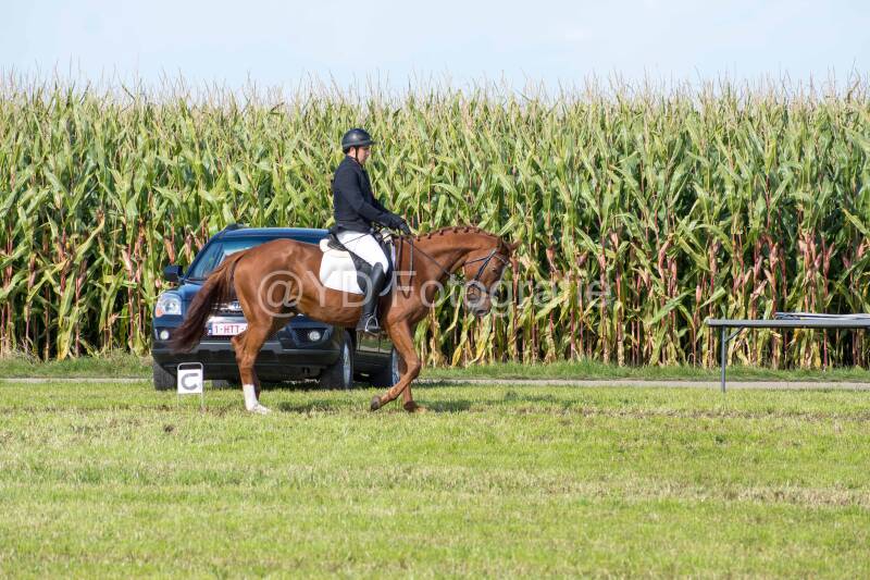 20241006-20241006-dsc_5408-standard-0xwrgm.jpg